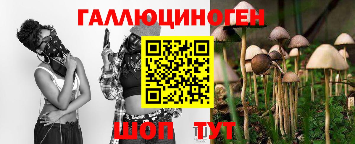 Псилоцибиновые грибы GOLDEN TEACHER  Галлюциногенные грибы ЛСД  Кумертау  Вход с VPN 